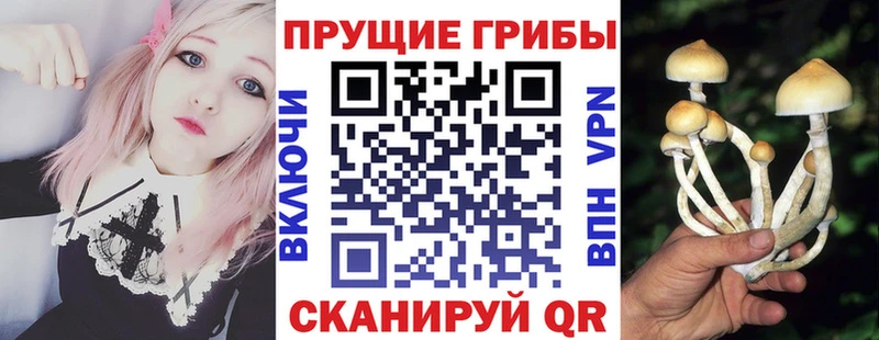 Псилоцибиновые грибы прущие грибы  Нижний Тагил 